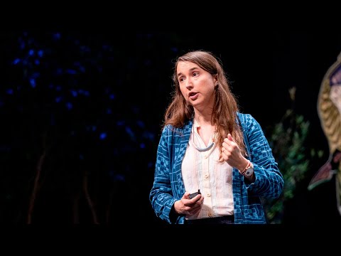 Leah Stokes - The Future is Electric | Bioneers 2023