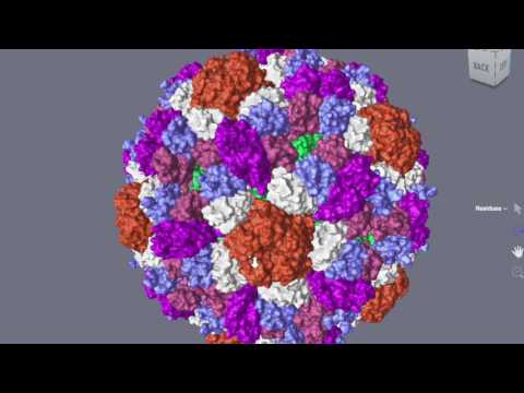 Nanotechnology & NanoMedicine | Andrew Hessel | Exponential Medicine 2015