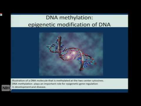 The epigenetic clock, biological age, and chronic diseases