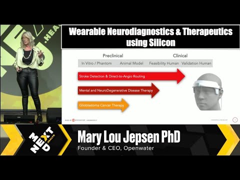 Revolutionizing Neurodiagnostics & Therapeutics Using Silicon. Mary Lou Jepsen, Openwater Founder.