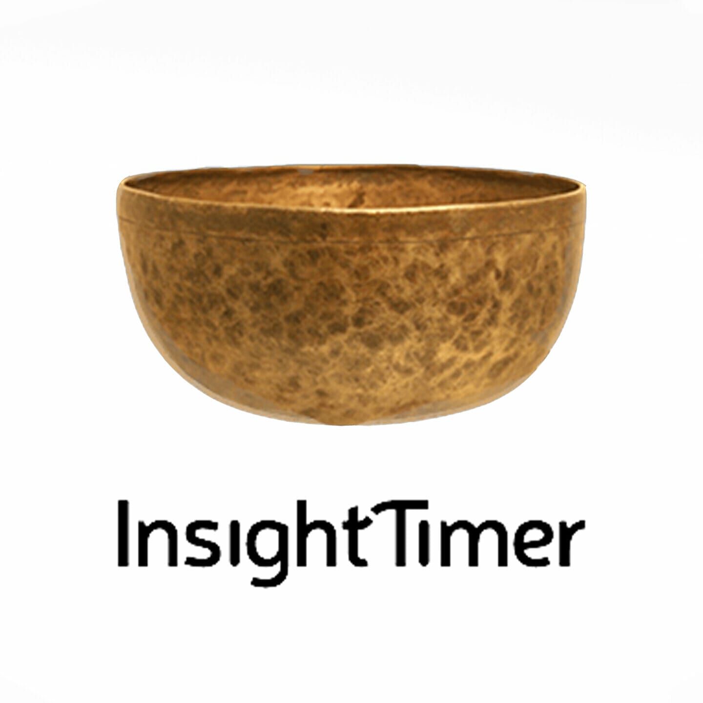 Insight Timer Logo 2023